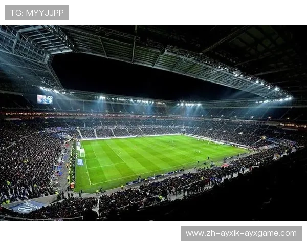 法甲里昂球迷组织与年度线下活动总结 法甲里昂球迷组织与年度线下活动总结