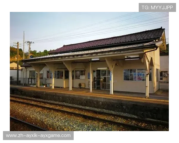 奇葩言论引发思考如何以体育精神应对历史话题的极端观点